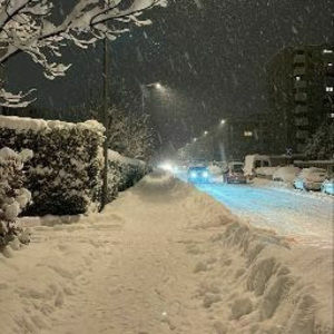 Meet your Posher, Elly